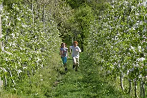 Two children running through rows of blooming apple trees, at Altenburg, Kaltern, South Tyrol, Italy Two children running through rows of blooming apple trees, at Altenburg, Kaltern, South Tyrol, Italy