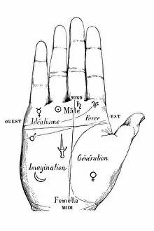 Fortune Telling Gallery: Chiromancy Chart of a Palm