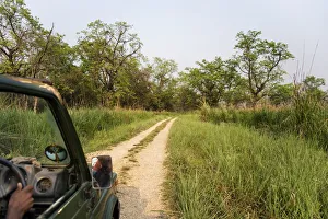 Chitwan National Park Safari Chitwan National Park Safari