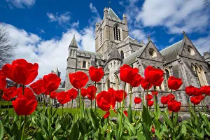 Christchurch Cathedral, Dublin City Christchurch Cathedral, Dublin City