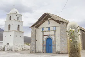 Church and a flowering Cardon cactus -Echinopsis atacamensis-, Cariquima, Tarapaca Region Church and a flowering Cardon cactus -Echinopsis atacamensis-, Cariquima, Tarapaca Region