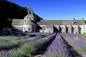 Images Dated 30th June 2014: Cistercian abbey Abbaye Notre-Dame de Senanque, with lavender field, Vaucluse, Provence