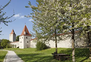 City walls with Frauenturm tower and Biersiederturm tower, Berching, Upper Palatinate City walls with Frauenturm tower and Biersiederturm tower, Berching, Upper Palatinate