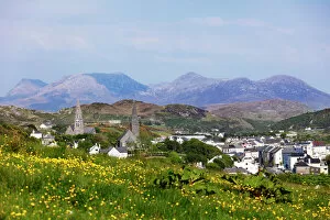 Flowering Collection: Clifden, Connemara, County Galway, Republic of Ireland, Europe