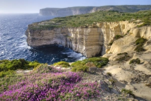 <b class=qtipBold><figcaption>Cliffs with wildflowers</figcaption></b><br><em>© (C) 2008 Philippe Widling / Design Pics</em> Cliffs with wildflowers