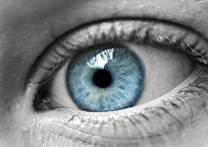 <b class=qtipBold><figcaption>Close up of blue eyes</figcaption></b><br>Fine Art Photography, 500398197<br><em>© 2014 Stephen Bridson Photography</em> Close up of blue eyes
