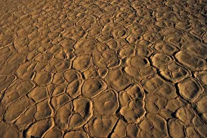 Close up Texture of the Cracked Clay Surface of Deadvlei at Sunset. Namib-Naukluft National Park, Namibia Close up Texture of the Cracked Clay Surface of Deadvlei at Sunset. Namib-Naukluft National Park, Namibia