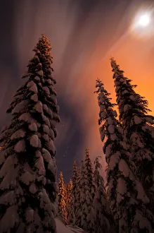 <b class=qtipBold><figcaption>To the clouds</figcaption></b><br>Snowshoe night with orange light from sky.<br><em>© 2010 Ken Vensel</em> To the clouds