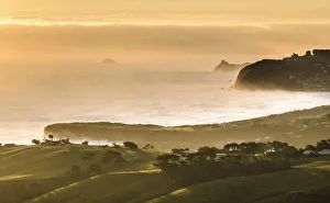 Coast at Otago, South Island, New Zealand, Oceania Coast at Otago, South Island, New Zealand, Oceania