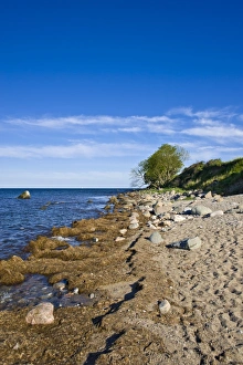 On the coastal cliffs of Staberhuk, Fehmarn Island, Baltic Sea, Schleswig-Holstein On the coastal cliffs of Staberhuk, Fehmarn Island, Baltic Sea, Schleswig-Holstein