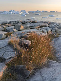 Coastal landscape with icebergs at Disko Bay, Oqaatsut (Rodebay), Greenland, Denmark Coastal landscape with icebergs at Disko Bay, Oqaatsut (Rodebay), Greenland, Denmark