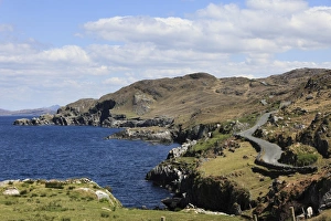 Coastal road, Ring of Beara, Beara Peninsula, County Cork, Ireland, British Isles, Europe Coastal road, Ring of Beara, Beara Peninsula, County Cork, Ireland, British Isles, Europe