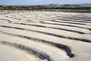 Coastal sand at low tide, channels formed by water, coast at Plouarzel Coastal sand at low tide, channels formed by water, coast at Plouarzel