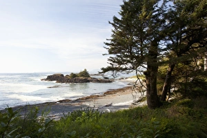 The Coastline Along The Path To South Beach In Pacific Rim National Park Near Tofino The Coastline Along The Path To South Beach In Pacific Rim National Park Near Tofino