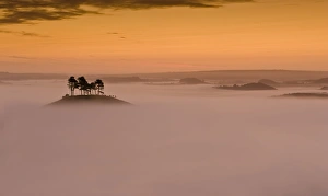 Bridport Gallery: Colmers Hill