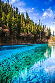 Five Color Pond, Jiuzhai Valley National Park Five Color Pond, Jiuzhai Valley National Park
