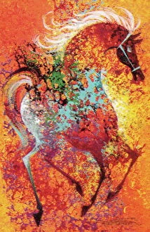Abstract art Collection: Colorful Horse