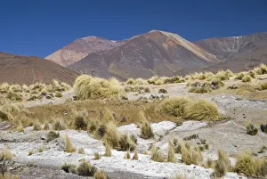 colourful landscape at the paso de bayo colourful landscape at the paso de bayo