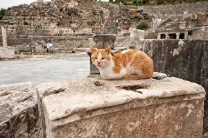 Commercial Agora in Ephesus