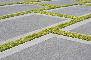 Concrete slabs with grass growing in the gaps Concrete slabs with grass growing in the gaps