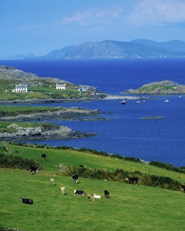 Co Cork, Garinish Island, Beara Peninsula, Ireland Co Cork, Garinish Island, Beara Peninsula, Ireland