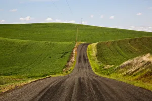 Country road through wheat fields of Palouse region in spring, Washington State, USA Country road through wheat fields of Palouse region in spring, Washington State, USA