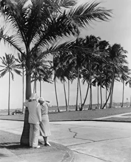 Couple standing at palm tree, (Rear view) (B&W) Couple standing at palm tree, (Rear view) (B&W)