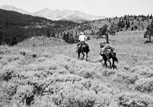 Cowboy riding horse, with second hold on reins, (B&W) Cowboy riding horse, with second hold on reins, (B&W)