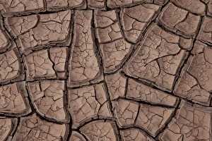 Cracked dry soil of a riverbed, Argentinian Andes, Uspallata, Mendoza province, Argentina, South America, America Cracked dry soil of a riverbed, Argentinian Andes, Uspallata, Mendoza province, Argentina, South America, America