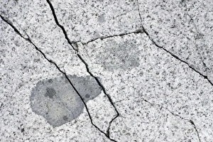 Cracks in granite, frost shattering, Petermann Island, Antarctic Peninsula, Antarctica Cracks in granite, frost shattering, Petermann Island, Antarctic Peninsula, Antarctica