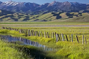 Images Dated 1st June 2012: Creek and fence in Camas Prairie, Fairfield, Idaho, USA