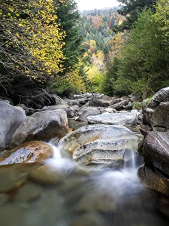 Creek of high mountain in a forest in autumn Creek of high mountain in a forest in autumn