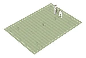 Sports Venue Gallery: Two croquet players on croquet court