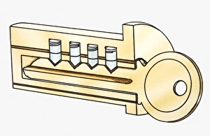 Cross section iIllustration of key in lock Cross section iIllustration of key in lock
