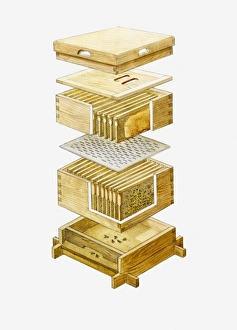 Cross section illustration of disassembled wooden beehive Cross section illustration of disassembled wooden beehive