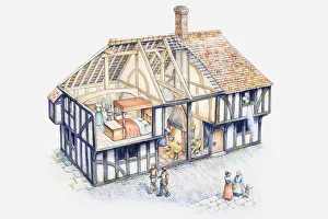 Cross section illustration of Tudor house Cross section illustration of Tudor house