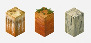 Three cross-section illustrations of different soil orders, Aridisol, Oxisol and Vertisol Three cross-section illustrations of different soil orders, Aridisol, Oxisol and Vertisol