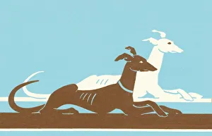 Dogs