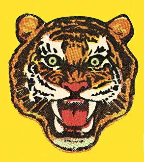Images Dated 2nd December 2002: Tiger