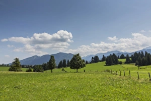 Cultivated landscape, Oberammergau Alps at the back, near Buching, Halblech, Allgau Cultivated landscape, Oberammergau Alps at the back, near Buching, Halblech, Allgau