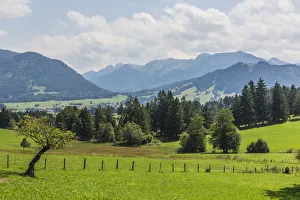 Cultural landscape at Buching, behind the Ammergau Alps, Halblech, Allgau, Bavaria Cultural landscape at Buching, behind the Ammergau Alps, Halblech, Allgau, Bavaria