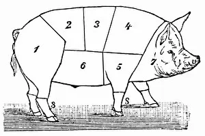 Bacon Gallery: Cuts of Pork