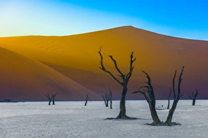 The Dead Acacia Trees and Sand Dunes Landscape at Dead Vlei, Namib Desert, Namibia The Dead Acacia Trees and Sand Dunes Landscape at Dead Vlei, Namib Desert, Namibia