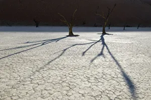 <b class=qtipBold><figcaption>Dead Vlei, Sossusvlei, Namibia</figcaption></b><br>Shadows form as the sun rises on Dead Vlei's dry Acacia trees in the Namib Desert.Sunrise<br><em>© ? Ben Cranke</em> Dead Vlei, Sossusvlei, Namibia