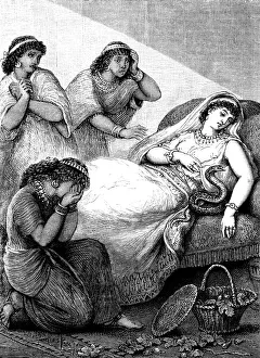 The death of Cleopatra The death of Cleopatra