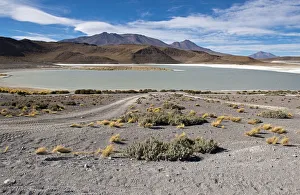 Desert landscape with lakes and mountains, Bolivia Desert landscape with lakes and mountains, Bolivia