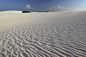 Desert, Lencois Maranhenses, Lencois Maranhenses, Barreirinhas, Maranhao, Brazil Desert, Lencois Maranhenses, Lencois Maranhenses, Barreirinhas, Maranhao, Brazil