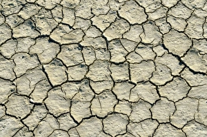Desiccation cracks, Bonneville Speedway, Great Salt Lake Desert, Wendover, Utah, USA Desiccation cracks, Bonneville Speedway, Great Salt Lake Desert, Wendover, Utah, USA