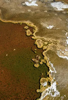 Detailed view of the discoloration caused by bacteria and algae on a geyser, Geyser Hill Detailed view of the discoloration caused by bacteria and algae on a geyser, Geyser Hill