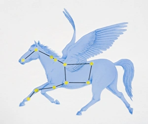 A diagram illustrating the constellation of Pegasus complete with image of a winged horse A diagram illustrating the constellation of Pegasus complete with image of a winged horse